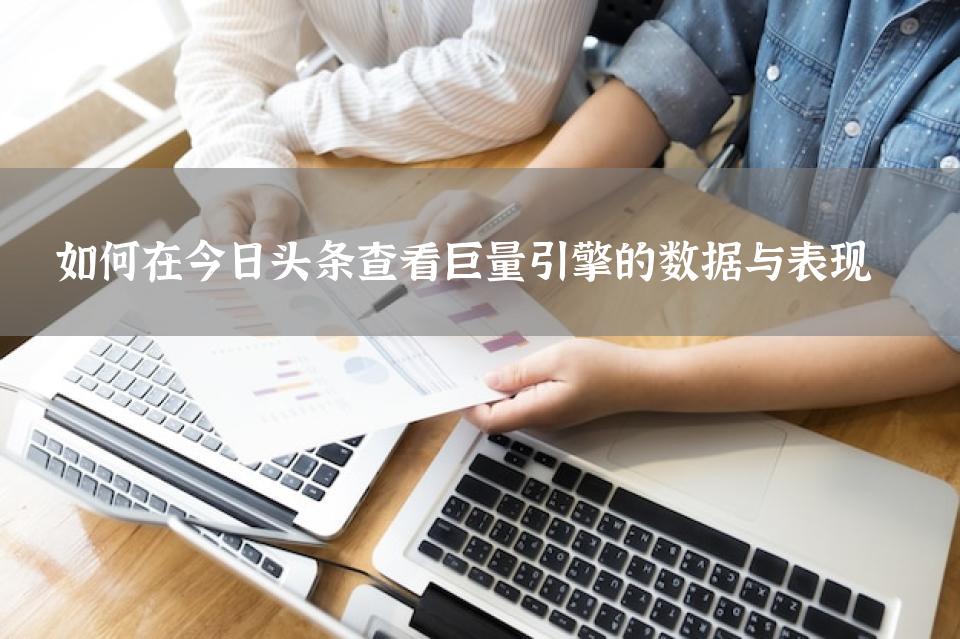 如何在今日头条查看巨量引擎的数据与表现 