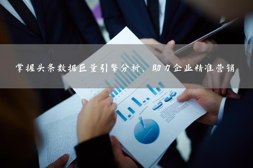 掌握头条数据巨量引擎分析，助力企业精准营销